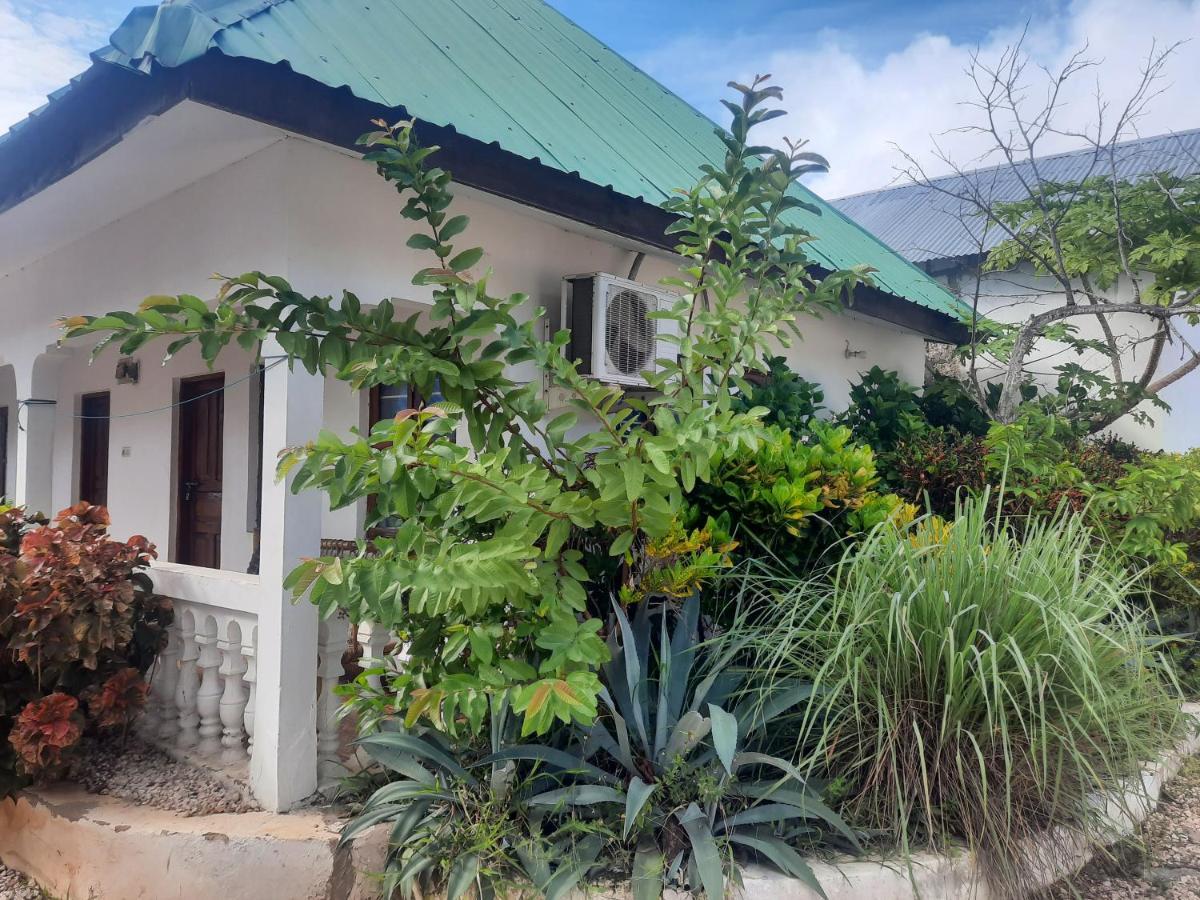 Ames Nungwi Bed and Breakfast Εξωτερικό φωτογραφία