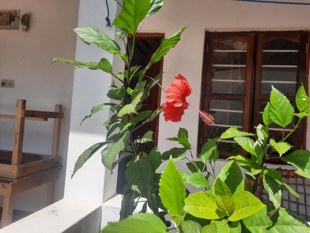 Ames Nungwi Bed and Breakfast Εξωτερικό φωτογραφία