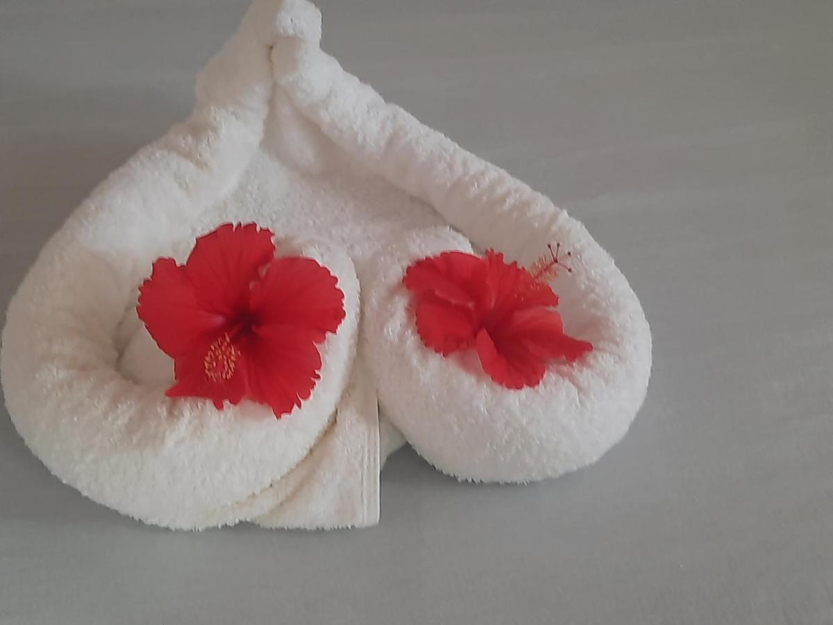 Ames Nungwi Bed and Breakfast Εξωτερικό φωτογραφία