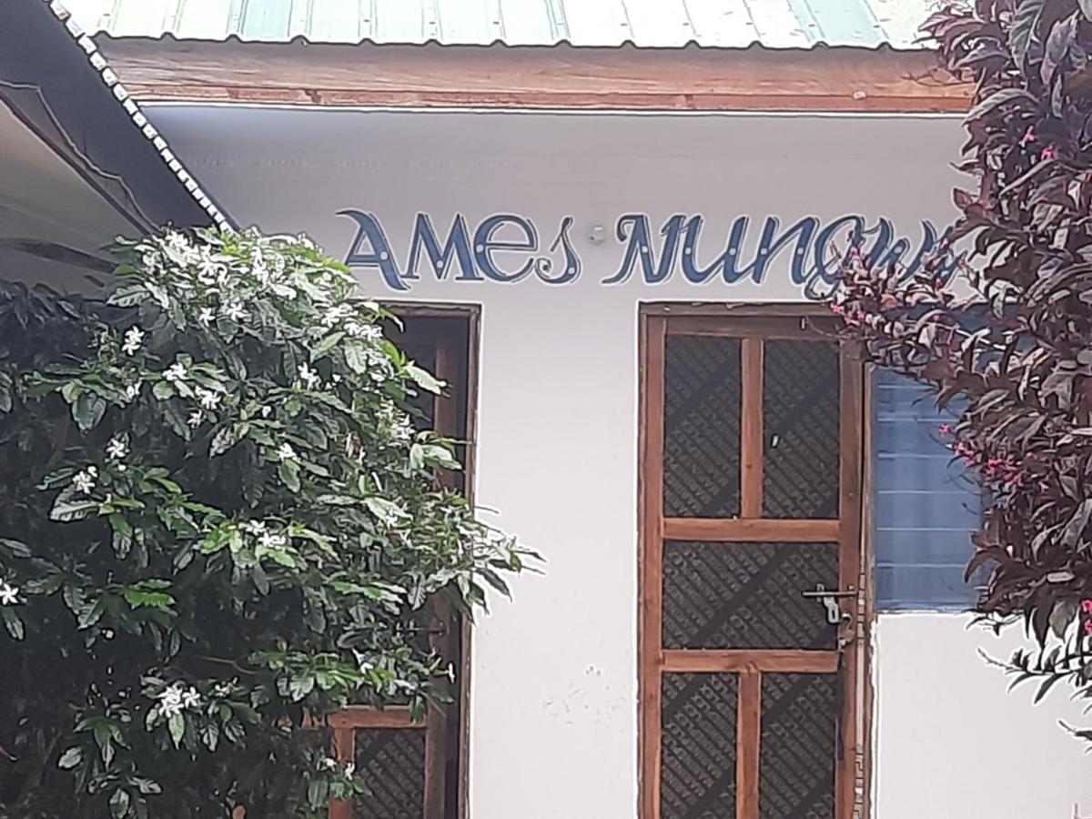 Ames Nungwi Bed and Breakfast Εξωτερικό φωτογραφία