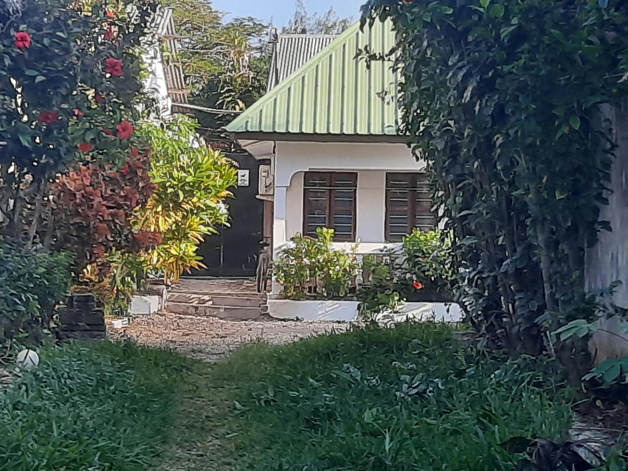Ames Nungwi Bed and Breakfast Εξωτερικό φωτογραφία