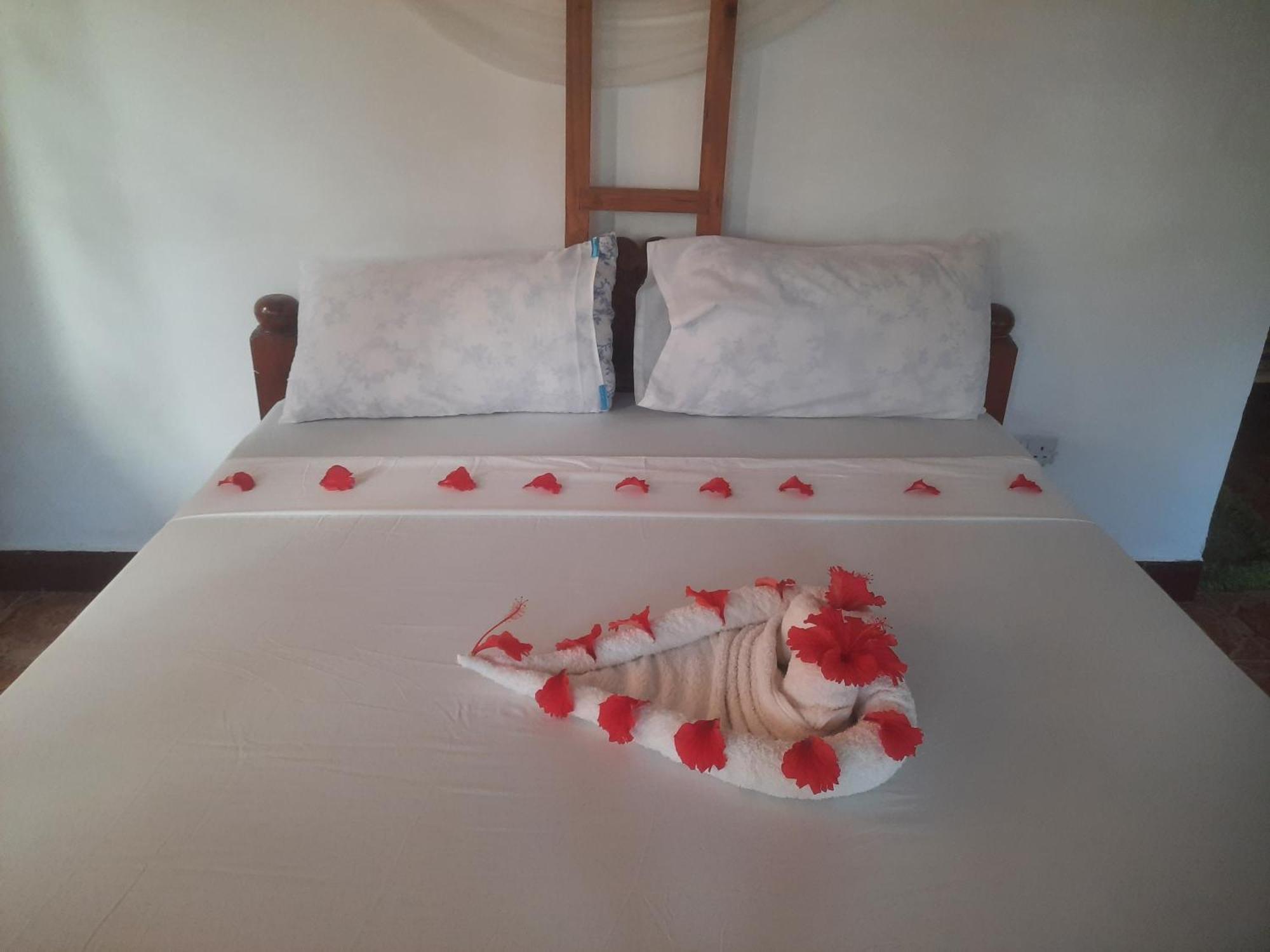 Ames Nungwi Bed and Breakfast Εξωτερικό φωτογραφία